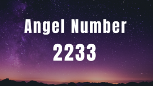 Angel Number 2233