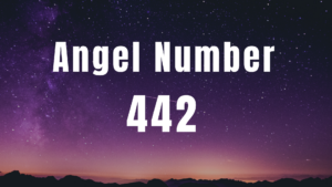Angel Number 442