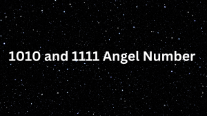 1010 and 1111 Angel Number